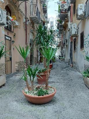 La Rosa Dei Venti " Ponente" Lägenhet Palermo Exteriör bild